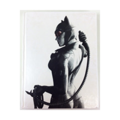 Batman - Arkham City (Catwoman Cover, Limited Edition) - Strategy Guide -  Noble Knight Games