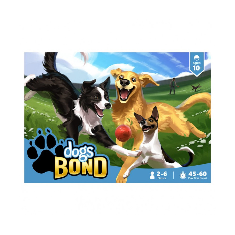 how do you bond with d dog